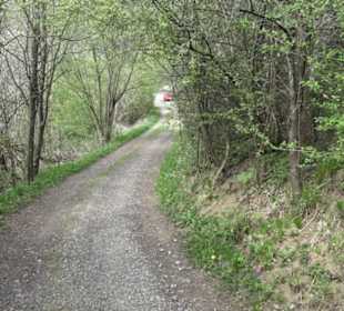 Wanderweg Firstwaldrunde