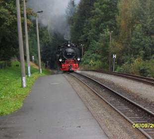 Die Bimmelbahn kommt