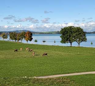 Wandern Schwangau