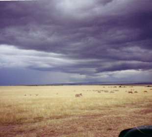 der Regen kommt gleich