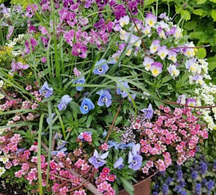 Könnte mehr vor Ort sein