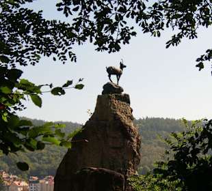 Hirschensprung