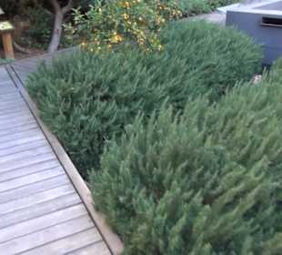 Museum de San Isidro