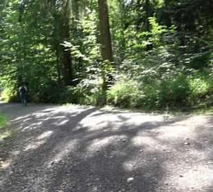 Premiumspazierweg Früchtetrauf-Leisawegle