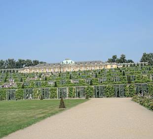 Sanssouci Schloss-/Schlossgartenimpression