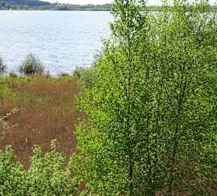 Impressionen vom Bederkesaer See