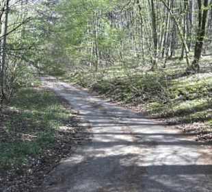 Waldlehrpfad an der Lauter