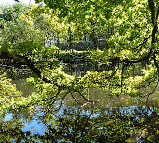 Zurück am NABU Haus mit See