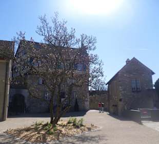 Schloss Laufen am Rheinfall