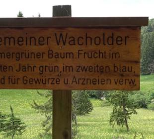 Waldlehrpfad in Tieringen