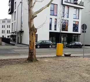 Albtorplatz