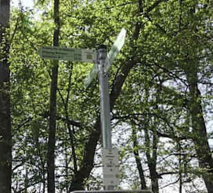 Wanderweg Hochgehwachsen