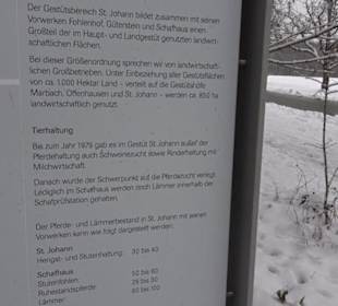 Gestüstshof Sankt Johann