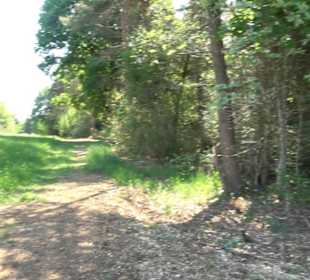 Premiumwanderweg Hochgehschätzt