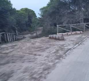 Parkzonen die zum Strand wollen