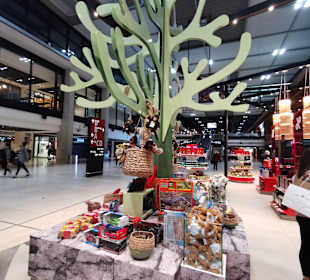 Flughafen Berlin Brandenburg Willy Brandt (BER)