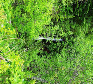 Wasserfall klein Grünsee