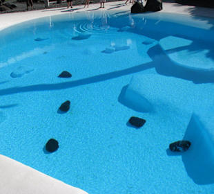 Weißes Schwimmbecken, von César Manrique entworfen