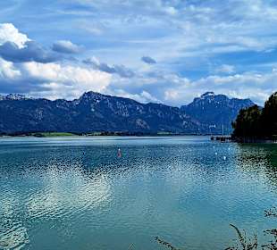 Forggensee