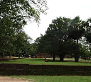 Polonnaruwa