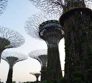Gardens by the Bay