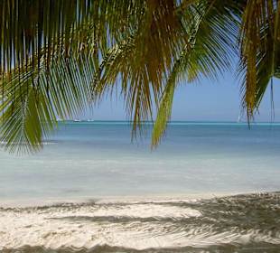 Insel Saona