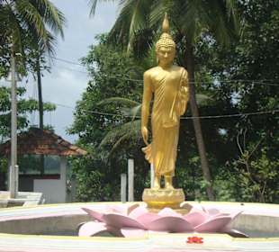 Goldene Buddhastatue  