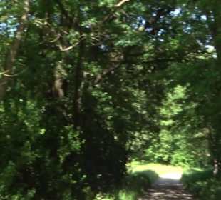 Eduard Lucas Musterobstgarten Mähringen