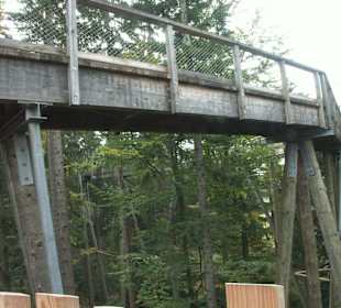 Auf dem Baumwipfelpfad