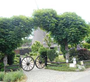 Alte Mühle Dong