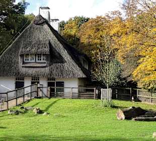 Herbstspaziergang durch den Bürgerpark Bremen