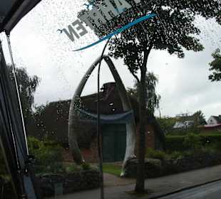 Kiefernknochen von einem Wal