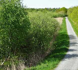 Rundgang um den Bederkesaer See