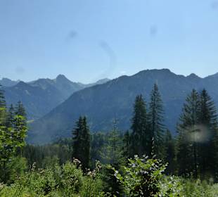 Bei einer Wanderung vom Söllereck zum Freibergsee