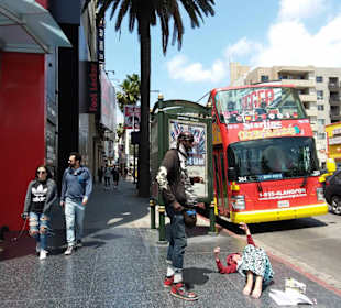 Hollywood Walk of Fame