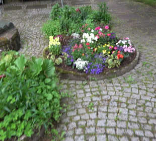 Dorfbrunnen/Dorfplatz Aach
