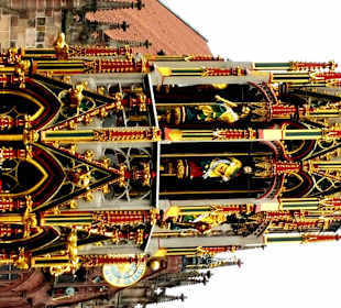 Nahaufnahme eine Pracht geworden