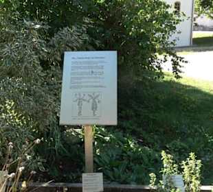 Klosterkirche Maria Gnadenzell