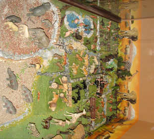 Muzeum Zabawek - Kudowa Zdrój