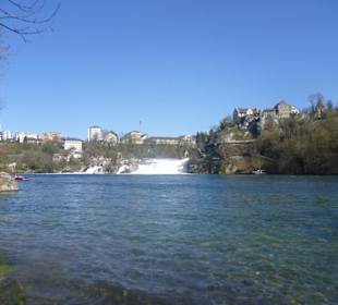 Aussicht vom Rheinuferweg