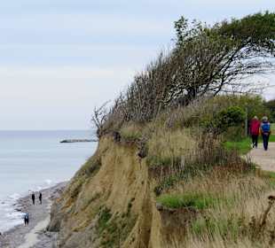 Die Steilküste mit Windflüchter