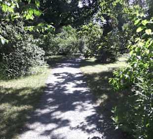 Botanischer Garten
