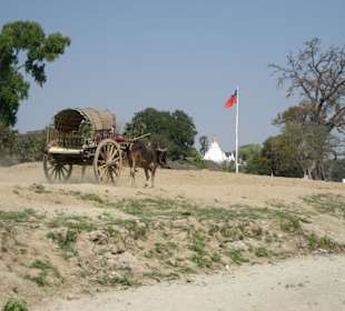Mingun Pagode