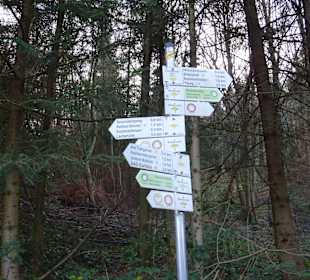 Wandern Baden-Baden