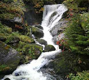 Wandern Wilhelmshöhe