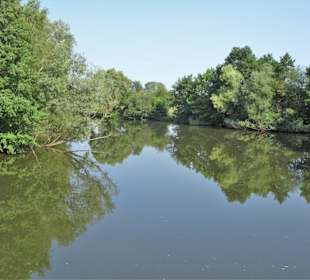Tour durch den sommerlichen Park Links der Weser