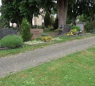 Friedhof