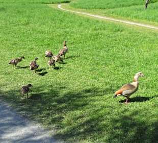 Impressionen vom Rundgang um den Südsee