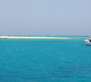 Desert rose - rejs na giftun