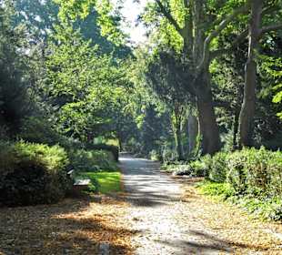 Rundgang über den Burgtorfriedhof